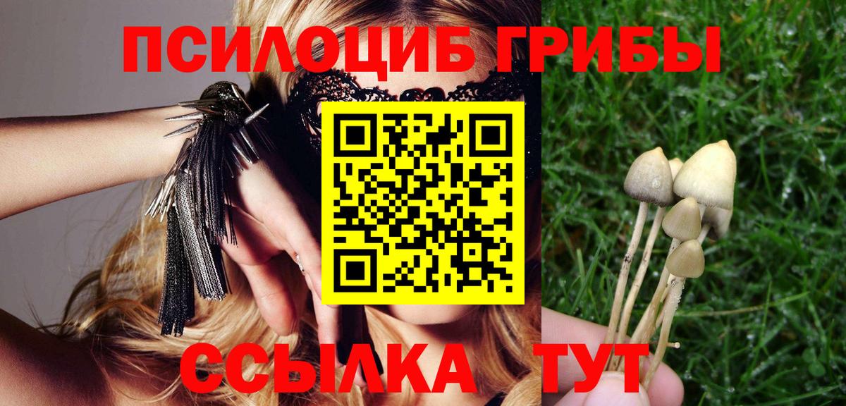 Златоуст  Псилоцибиновые грибы прущие грибы  Вход с VPN 